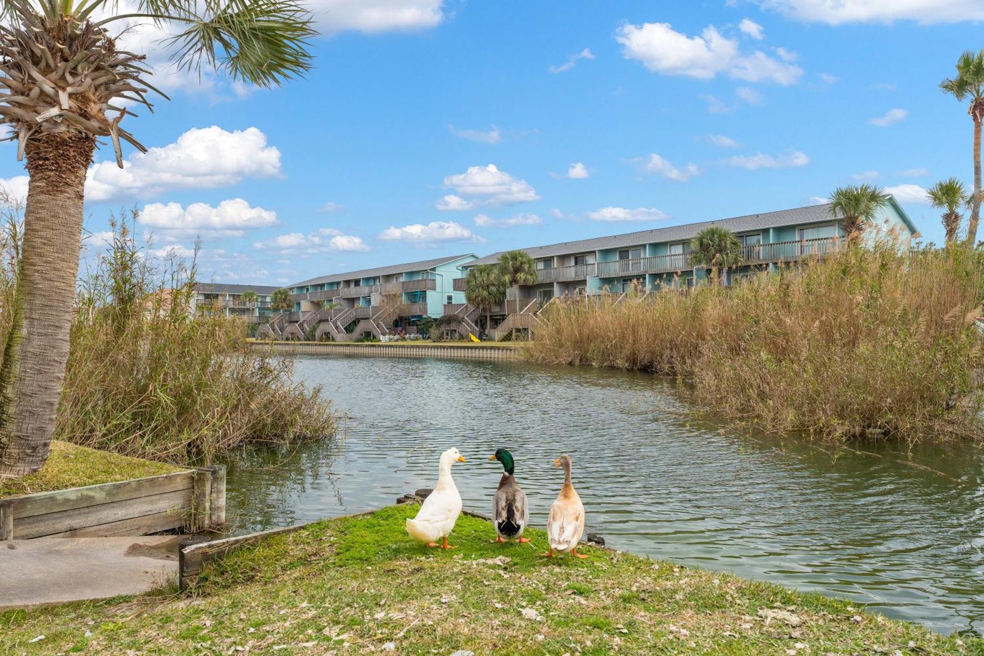 Villas On The Gulf L1- Ocean View Steps To Beach! ペンサコーラ・ビーチ エクステリア 写真